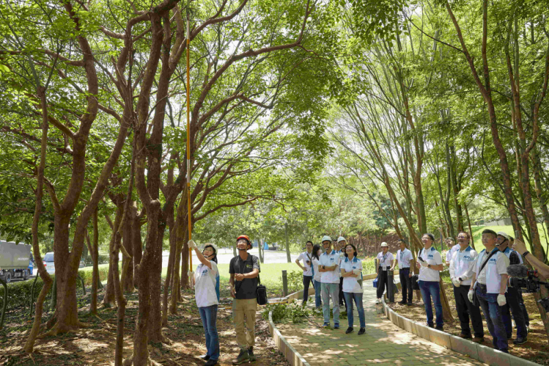 藝師教導大家認識樹木、檢查樹的健康狀況，學習修枝及碎枝覆土