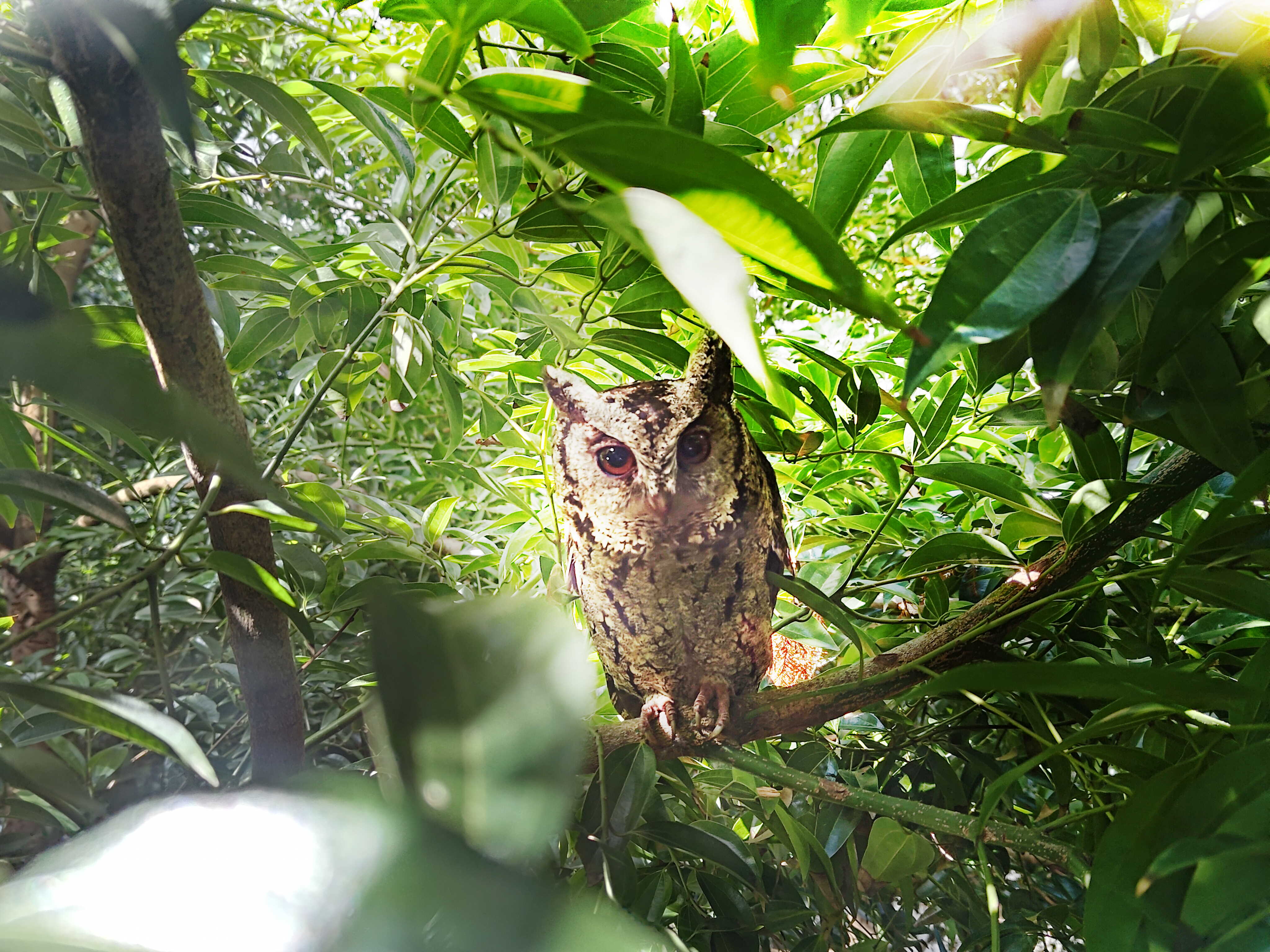 米兰·(milan)致力提倡净零绿生活，16年以来在全球各厂区植树逾百万棵，造就各厂区树木蔚然成林，犹如森林工厂，成为许多生物的栖息地